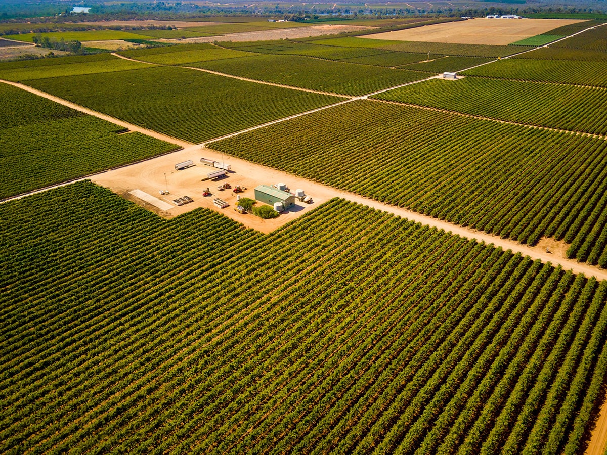 https://vinocorpperu.com/images/bodegas/oxfordlanding/300-hectares-of-vines-min.jpg